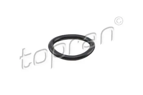114296 Уплотнительное кольцо 20*3 TOPRAN підбір по vin на Brocar