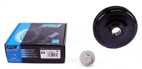 171006SET Шкив коленвала Citroen Berlingo/Jumpy/Peugeot Expert 1.8-1.9D 95-02 (6PK) (в комплекте с болтом) IJS GROUP подбор по vin на Brocar