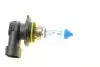 486133000 Автолампа HB4/9006 12V 55W P22d Range Power Blue + (3700K) NARVA підбір по vin на Brocar