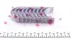 180050001315 Вкладыши коренные VW Golf III/IV/T3/T4 1.9TDI (+0.25) = 6050122500 NPR підбір по vin на Brocar
