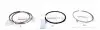120050001200 Кільця поршневі VW Caddy III/T5/Crafter 2.0TDi 11- (81.00mm/STD) (1.75-2-3) = 8950130000 NPR підбір по vin на Brocar