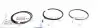 120037004400 Кольца поршневые Citroen Jumper/Fiat Scudo/Ducato 1.9TD (83.00mm/STD) (3-2-3) = 8937440000 NPR підбір по vin на Brocar