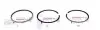 120021003324 Кольца поршневые Ford Transit 2.5DI 91- (94.32mm/+0.65) (2.5-2-4) = 8921346500 NPR підбір по vin на Brocar