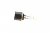 480553000 Автолампа 885 12.8V 50W PG13 Standard (Американські типи) NARVA підбір по vin на Brocar