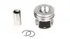 Поршень Renault Master/Opel Movano 2.3dCI/CDTI 14- (85.00mm/+0.50) = 7138255000 130 038 0014 21