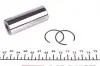 130050003321 Поршень VW T5 1.9TDI 03-09 (80,01mm/+0.5) 1-2 цил. = 7150485000 NPR підбір по vin на Brocar