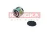 Шків генератора Ford Fiesta/Focus/Mondeo 10- RC063