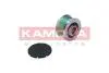 Шків генератора Citroen Berlingo/Jumpy/Peugeot Boxer/Expert/Partner 1.6-2.2HDI 00- RC028