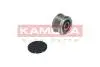 RC050 Шкив генератора Renault Kangoo 1.9dCi 01- KAMOKA підбір по vin на Brocar