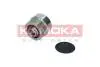Шків генератора RC043