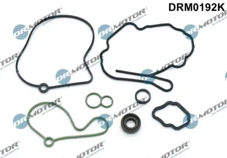 DRM0192K Комплект прокладок помпи паливної DR.MOTOR підбір по vin на Brocar