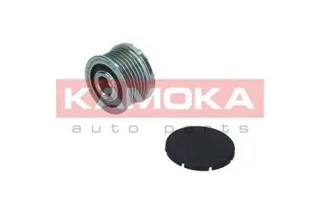 RC138 Шків генератора Renault Laguna II/Megane II 1.9 dCi 01- KAMOKA підбір по vin на Brocar