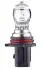 8GA223569041 Żarówka P13W 12V PG18,5D-1 CLEAR HELLA підбір по vin на Brocar