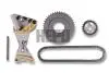 Комплект цепи насоса масляного Audi A4/A6/VW Passat 2.0 TDI 04-11 21-0508