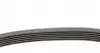 6PK1555K1 Комплект ремня генератора BMW 3 (E36)/5 (E34/E39)/7 (E38) 2.0-2.8 90-03 (M50/M52) CONTITECH підбір по vin на Brocar