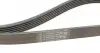 6PK1555K1 Комплект ремня генератора BMW 3 (E36)/5 (E34/E39)/7 (E38) 2.0-2.8 90-03 (M50/M52) CONTITECH підбір по vin на Brocar