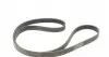6PK1555K1 Комплект ремня генератора BMW 3 (E36)/5 (E34/E39)/7 (E38) 2.0-2.8 90-03 (M50/M52) CONTITECH підбір по vin на Brocar