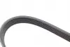 FB5PK1810 Ремень генератора Hyundai Tucson 15-/i20/i30/i40/Accent/Kia Ceed/Rio 05-/Sportage 10- (5PK1810) INA підбір по vin на Brocar