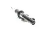 37106875084 Амортизатор (передній) (R) BMW X5 (F15) 13- BMW підбір по vin на Brocar