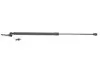 Амортизатор крышки багажника Nissan X-Trail 03-13 (R) (SUV) 8162043