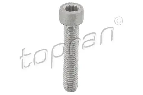117612 Болт М10*52 TOPRAN підбір по vin на Brocar