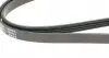 AD04R1094 Ремінь генератора Suzuki Grand Vitara 2.7 01-03/ Toyota Starlet 1.3 96-99 BLUE PRINT підбір по vin на Brocar