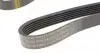 AD06R1892 Ремінь генератора BMW X5/ Ford Focus 1.4-1.6 16V 98-/ Chevrolet Evanda/ Rezzo 2.0 05- (6PK1892) BLUE PRINT підбір по vin на Brocar