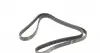 AD06R1892 Ремінь генератора BMW X5/ Ford Focus 1.4-1.6 16V 98-/ Chevrolet Evanda/ Rezzo 2.0 05- (6PK1892) BLUE PRINT підбір по vin на Brocar