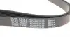 AD06R1836 Ремінь генератора Renault Master/ Trafic 1.9-2.5 dCi 00-/ Opel Movano/ Vivaro 2.2-2.5 DTI 00- BLUE PRINT підбір по vin на Brocar
