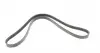 AD04R1240 Ремень генератора Renault Clio/Kangoo 1.4i/1.6 98-03/ Toyota Land Cruiser 4.2 98-07 BLUE PRINT підбір по vin на Brocar