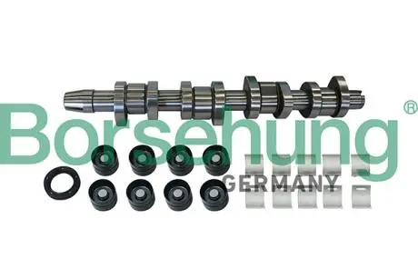 B11307 Розподільчий вал VW Caddy III 1.9TDI (BJB/BSU) 55/77kw 04-10/VW T5 1.9TDI (BRS/BRR) 62/75kw (к-кт)(OE VAG) BORSEHUNG підбір по vin на Brocar