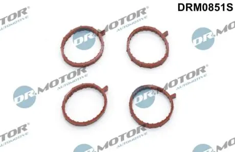 DRM0851S Комплект прокладок гумових DR.MOTOR підбір по vin на Brocar