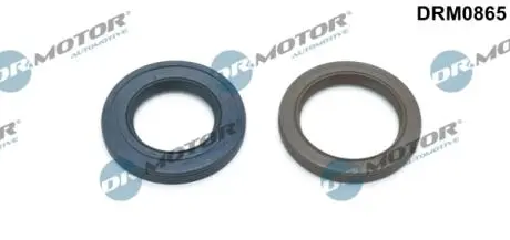 DRM0865 ZESTAW USZCZELEK ROZRZĽDU RENAULT DR.MOTOR підбір по vin на Brocar