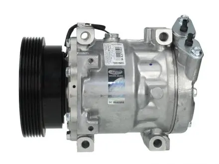 TSP0159853 КОМПРЕСОР КОНДИЦІОНЕРУ ПОВІТРЯ RENAULT DELPHI підбір по vin на Brocar