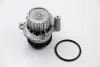 Водяна помпа Caddy II/Golf IV/Octavia 1.9SDI/TDI  95-06 (19z) 70480
