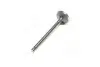 HCZA009 Клапан-INTAKE Accent(LC) 99-06 (вир-во PMC-ESSENCE) PARTS-MALL підбір по vin на Brocar