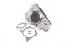 352316170731 Помпа водяна WPQ0731 (Вир-во MagnetiMarelli) MAGNETI MARELLI підбір по vin на Brocar