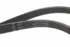 1825KDF6 Ремень генератора Volvo 2.0T/2.4D/3.0T6 01-08 HUTCHINSON підбір по vin на Brocar