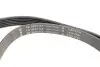 529051410 Комплект ремня генератора Audi A3/VW CC 1.8TSI/2.0TSI 04- (6PK1113) INA підбір по vin на Brocar