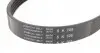 705SK5 Ремінь генератора Ford C-Max/ Focus/ Volvo S40 1.8-2.0 06-12 HUTCHINSON підбір по vin на Brocar