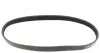 705SK5 Ремінь генератора Ford C-Max/ Focus/ Volvo S40 1.8-2.0 06-12 HUTCHINSON підбір по vin на Brocar