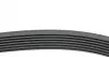 1637K7 Ремінь генератора BMW 5 (E39)/7 (E38) 3.5i/4.0i 96-03 (7PK1635) HUTCHINSON підбір по vin на Brocar