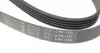 1335K5 Ремінь генератора Opel Corsa D 1.2/1.4 06-14 (5PK1335) HUTCHINSON підбір по vin на Brocar