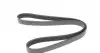 1175K6 Ремень генератора RenauT Duster 1.5 dCi 17- (6PK1175) HUTCHINSON підбір по vin на Brocar