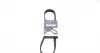 Ремінь генератора Citroen Berlingo/Peugeot Expert/Partner 1.6 BlueHDi 02- 798 K 6