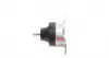 594443 Подушка двигуна (R) Citroen Jumpy/Peugeot 806 2.0 HDi 99-06 HUTCHINSON підбір по vin на Brocar