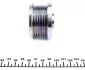 301053 Шків генератора Citroen Berlingo/Jumpy/Jumper/Nemo 1.4/1.6/2.0/2.2HDi IJS GROUP підбір по vin на Brocar