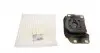 538C28 Подушка КПП Ford Focus III/Transit Connect 1.0Eco Boost 12- (L) HUTCHINSON підбір по vin на Brocar