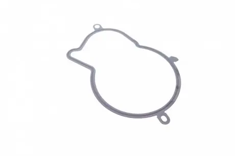793480 Прокладка ТНВД Citroen Jumper/Peugeot Boxer 2.0/2.2 HDi 16- ELRING подбор по vin на Brocar