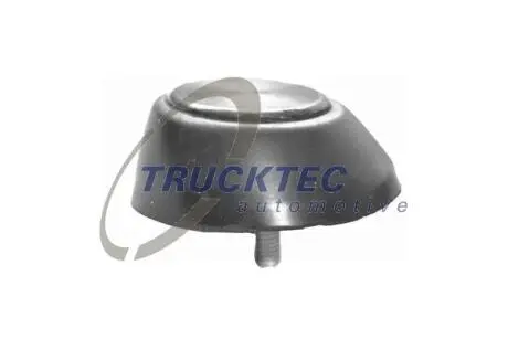 0253221 Отбойник на зад. двери TRUCKTEC подбор по vin на Brocar